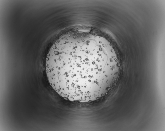 X0000088221064200705292109