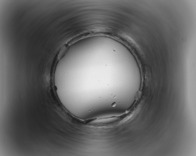 X0000088221065200705292109