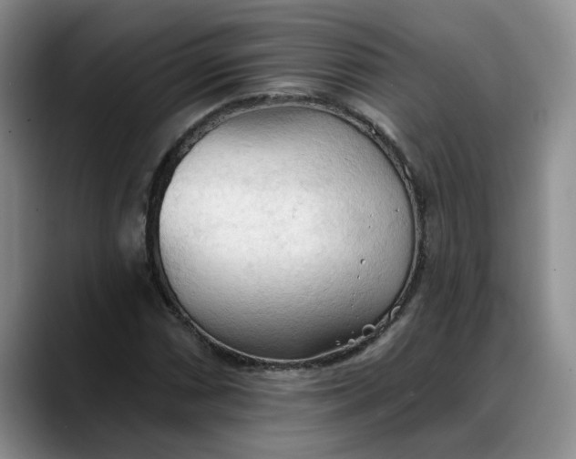 X0000088221066200705292109