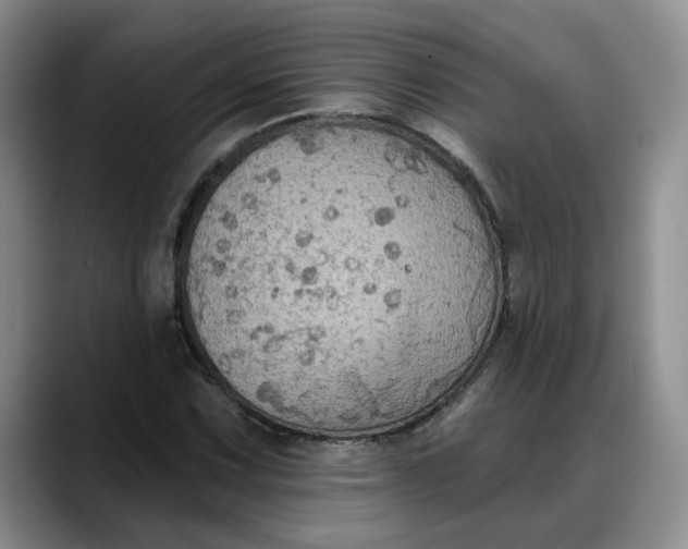 X0000088221067200705292109