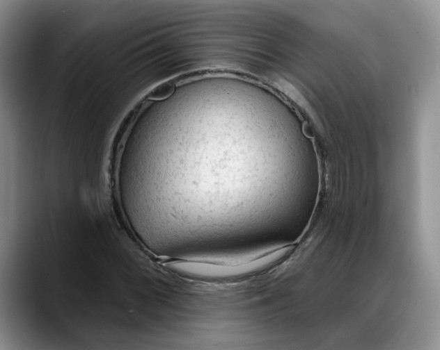 X0000088221068200705292109