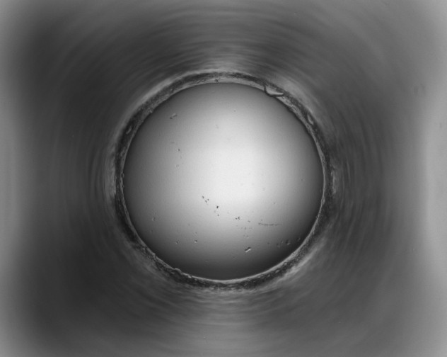 X0000088221069200705292109