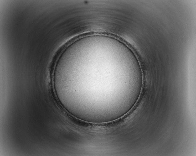 X0000088221070200705292109