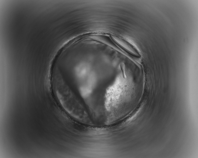 X0000088221071200705292109