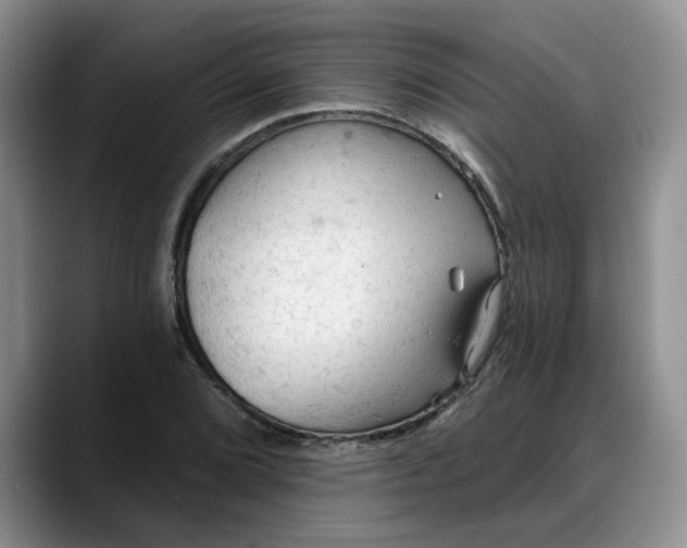 X0000088221072200705292109