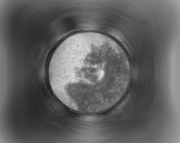 X0000088221074200705292109