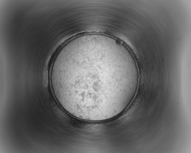 X0000088221075200705292108