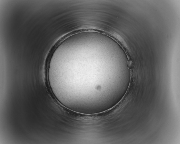 X0000088221076200705292108