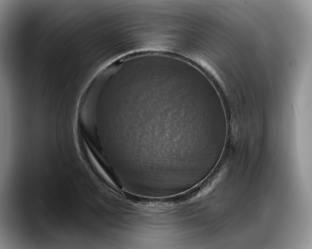 X0000088221077200705292108