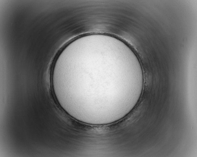 X0000088221078200705292108