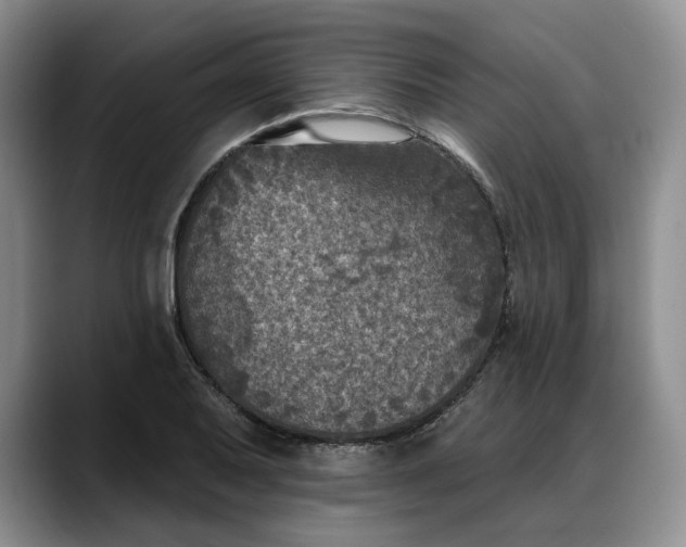 X0000088221079200705292108