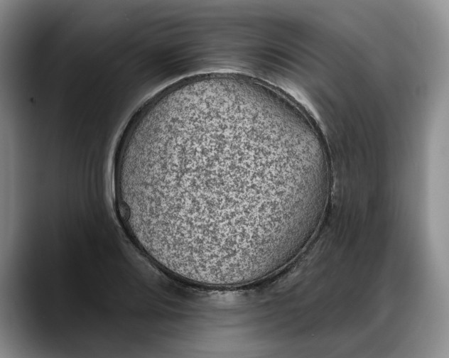 X0000088221080200705292108