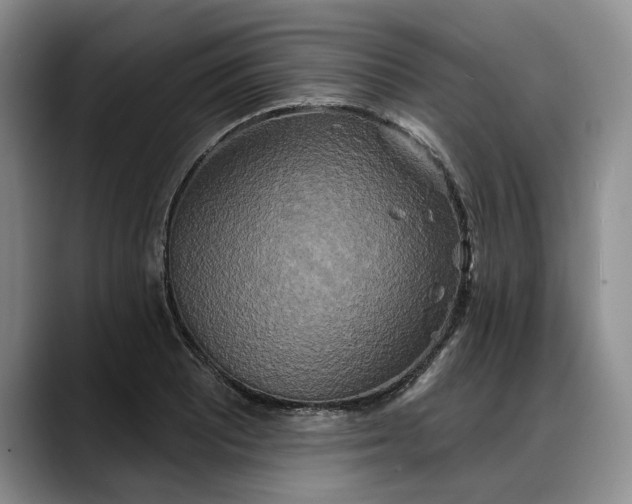 X0000088221081200705292108