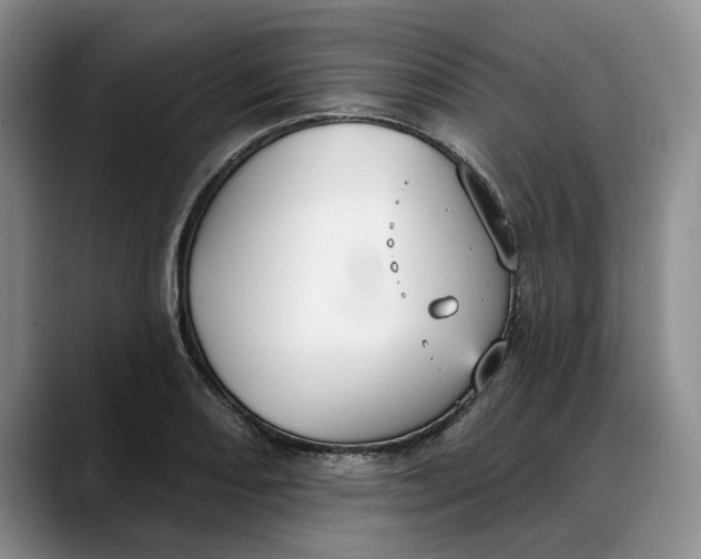 X0000088221082200705292108