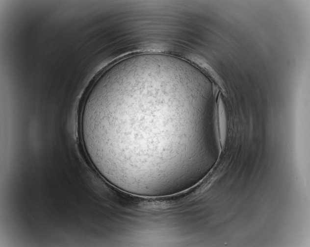 X0000088221083200705292108