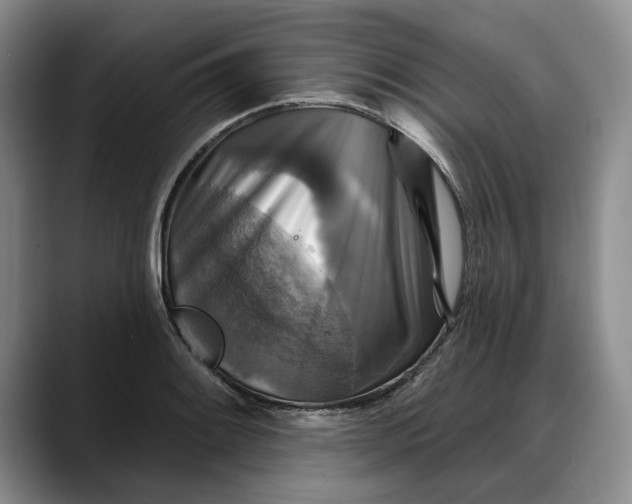 X0000088221084200705292108