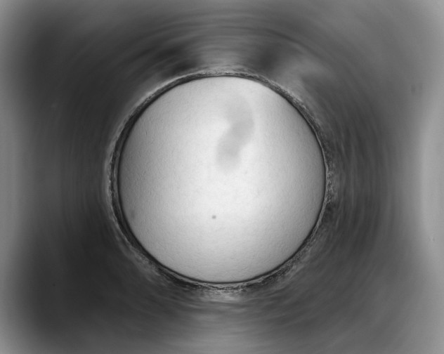 X0000088221086200705292108