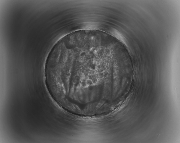 X0000088221087200705292108