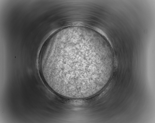 X0000088221090200705292108