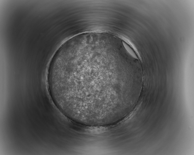 X0000088221091200705292108