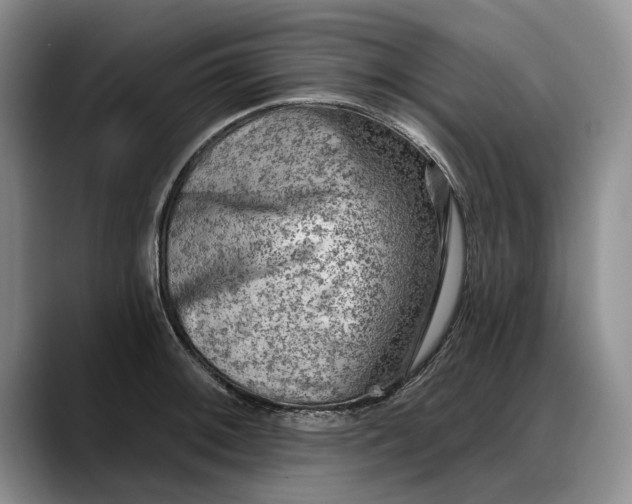 X0000088221092200705292108