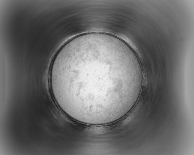 X0000088221094200705292108