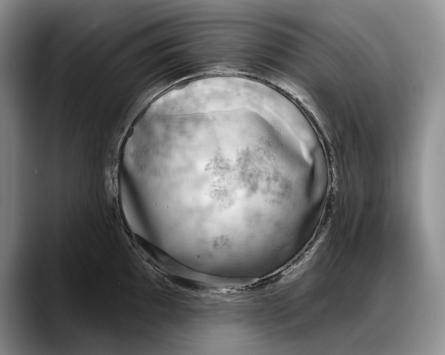 X0000088221097200705292108