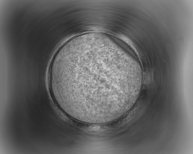 X0000088221098200705292108