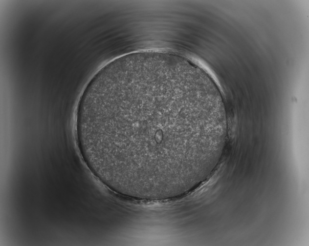 X0000088221099200705292108