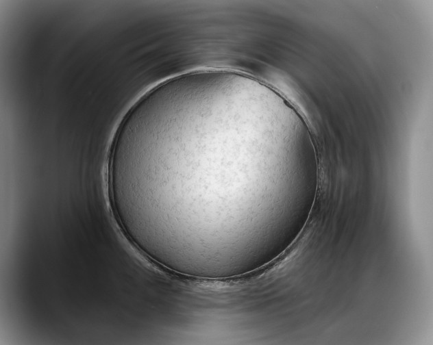 X0000088221100200705292108