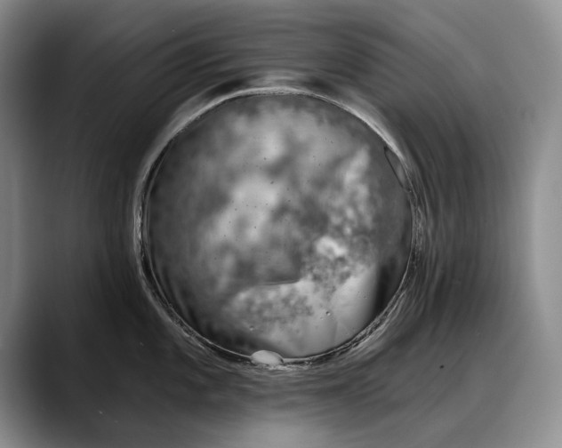 X0000088221101200705292108