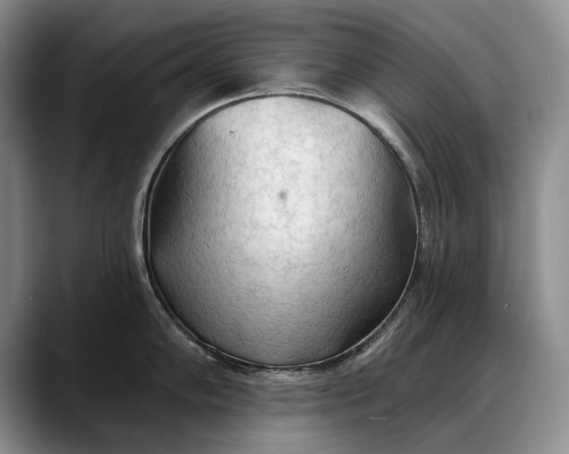 X0000088221102200705292108