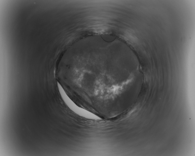 X0000088221106200705292108