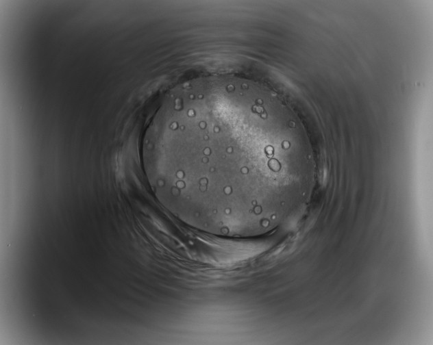 X0000088221108200705292108