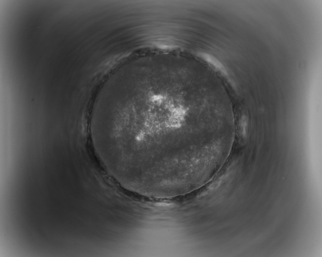 X0000088221110200705292108