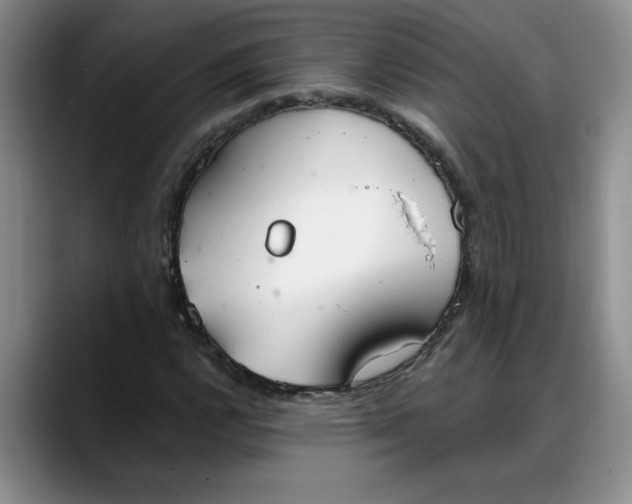 X0000088221112200705292108