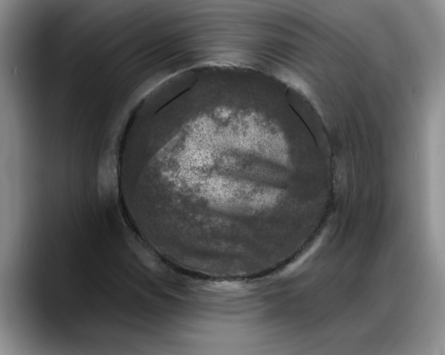 X0000088221114200705292108