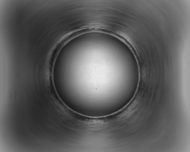 X0000088221115200705292108