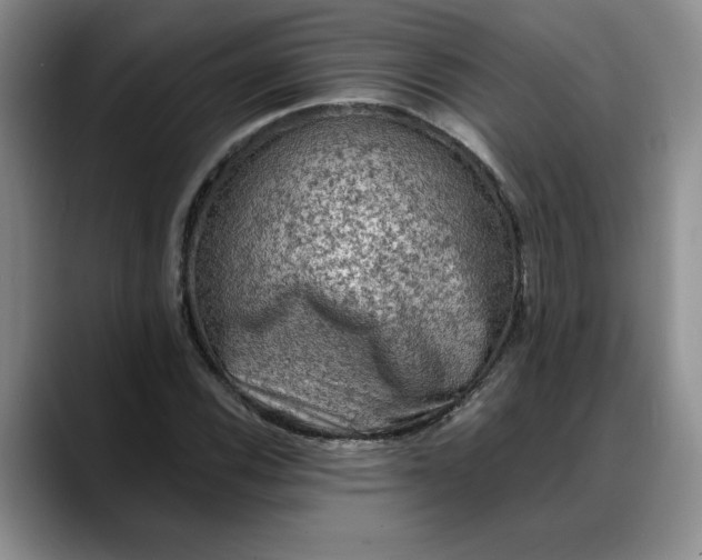 X0000088221116200705292108