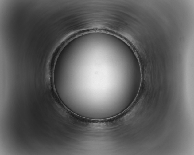 X0000088221118200705292108