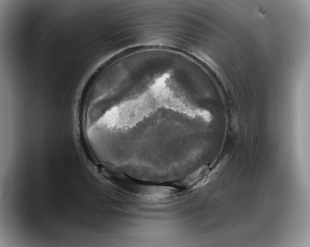 X0000088221120200705292108