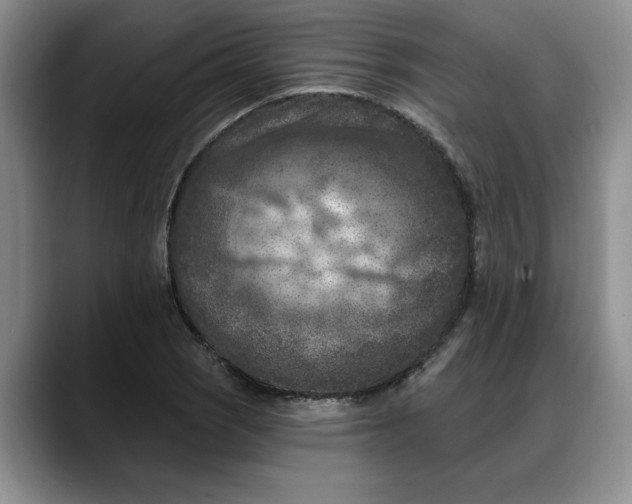 X0000088221121200705292108