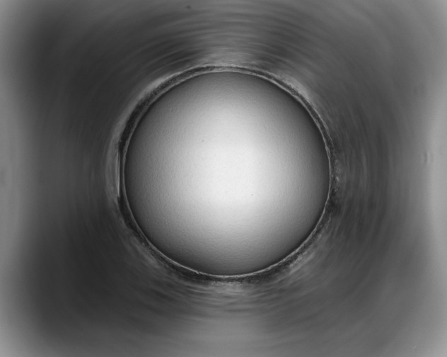 X0000088221123200705292108