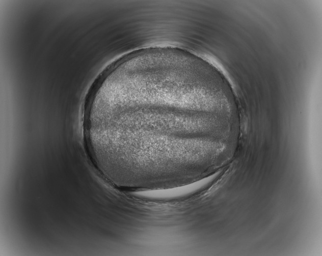 X0000088221124200705292108