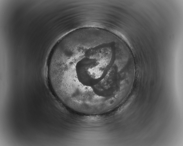 X0000088221125200705292108