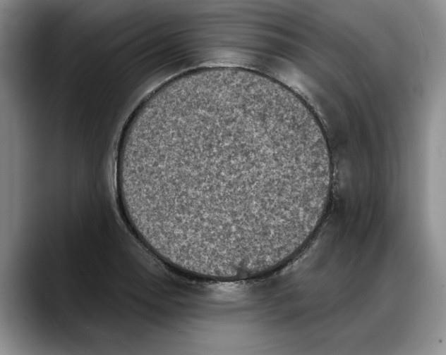 X0000088221130200705292108