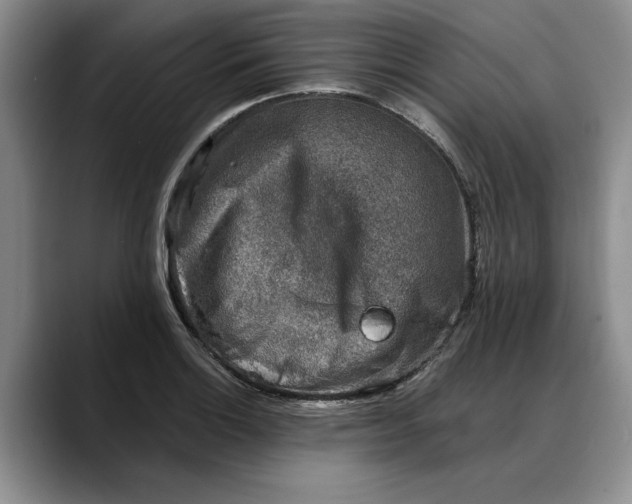 X0000088221132200705292108