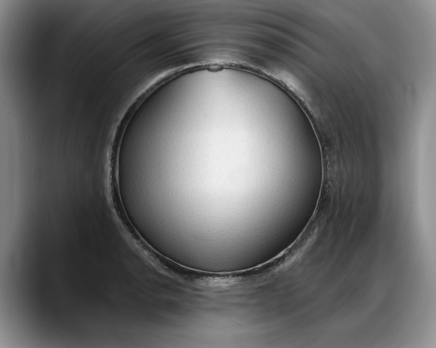 X0000088221134200705292108