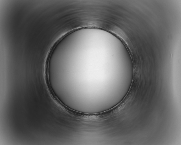 X0000088221135200705292108