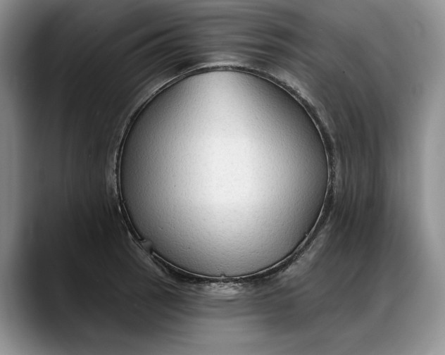 X0000088221137200705292108